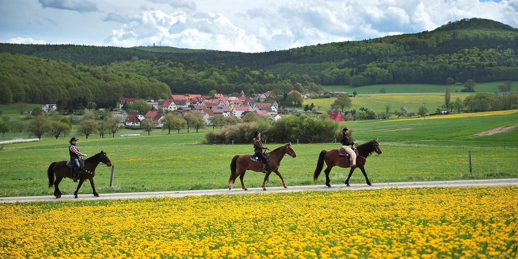 Landhotel Zur Gruenen Kutte Bernshausen Ngoại thất bức ảnh