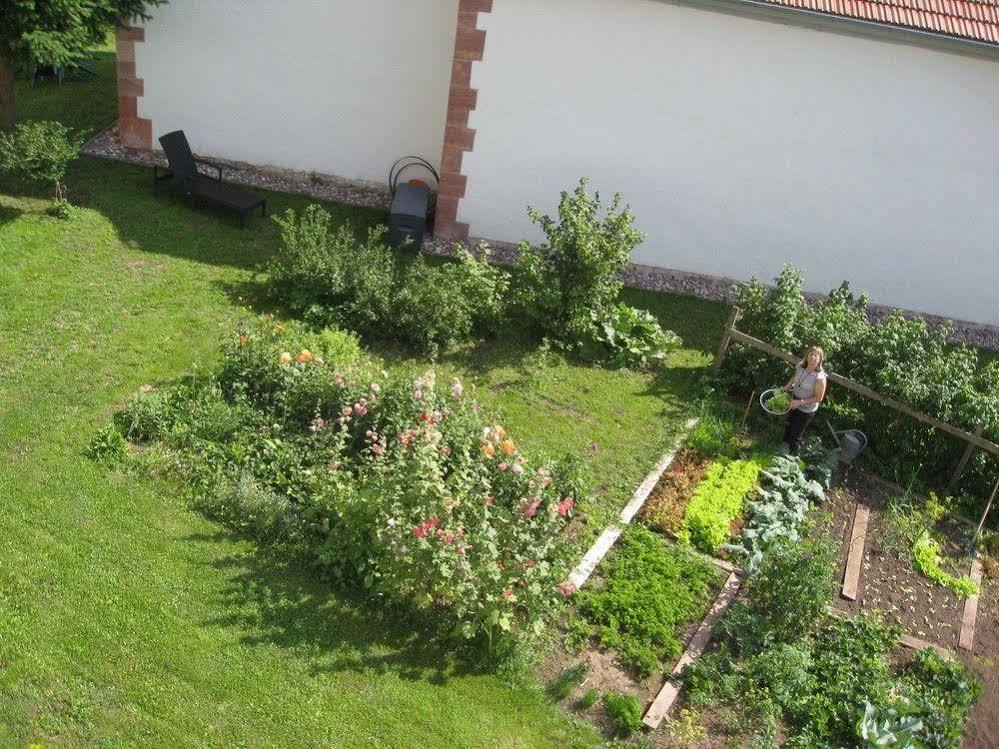 Landhotel Zur Gruenen Kutte Bernshausen Ngoại thất bức ảnh